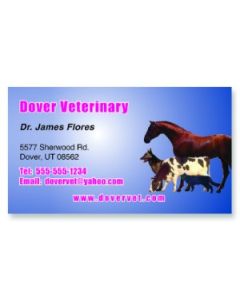 Veterinary Magnets 2x3.5